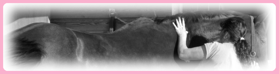 The Velvet Touch Equine Massage