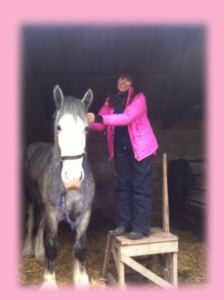 Sarah working on a client's young horse