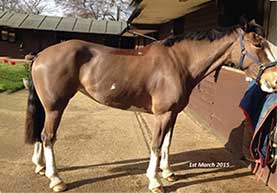 before treating with Equinox
